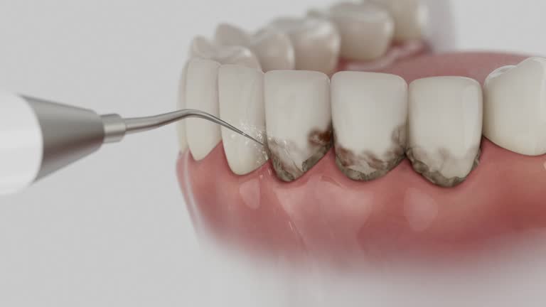 Reliable Dental contractor in Kings Mountain, NC by Dentist Open Now